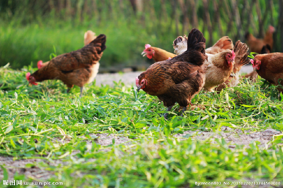 近期晝夜溫差較大，慢性呼吸道又開始猖獗了！